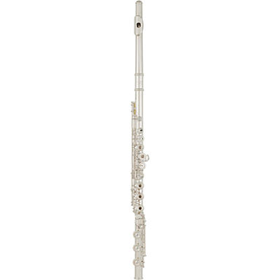 Allora Paris Series Professional Solid Silver Flute