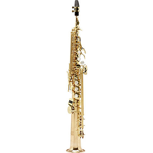 Paris Series Professional Straight Soprano Saxophone with 2 Necks
