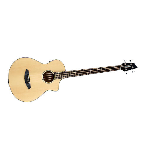 Passport Acoustic-Electric Bass