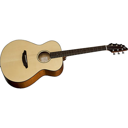 Passport C200/SMP Acoustic Guitar