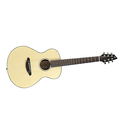 Passport C200/SMe Acoustic-Electric Guitar