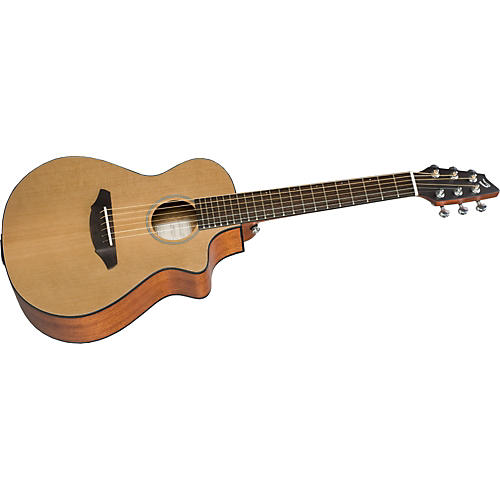 Passport C250/CMe, T Travel Acoustic-Electric Guitar