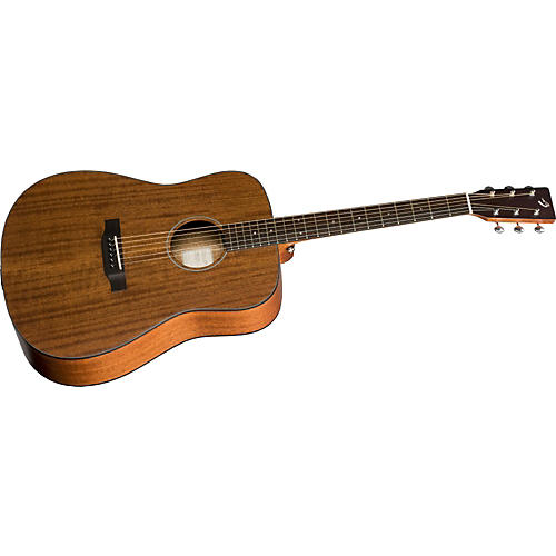 Passport D/MMe Acoustic-Electric Guitar