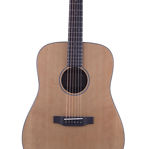 Passport D/SM Acoustic Guitar