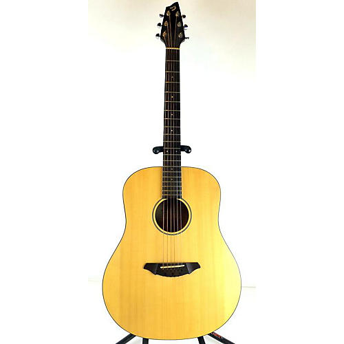 Passport D200/SMP Acoustic Guitar
