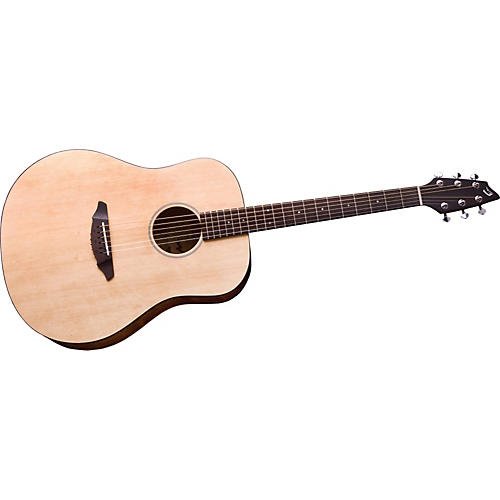 Passport D200/SMP Acoustic Guitar