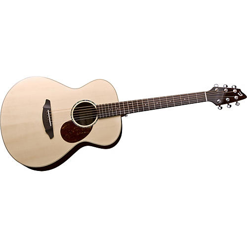 Passport Plus C200/SR Acoustic Guitar