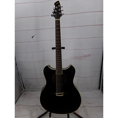Wechter Guitars Pathmaker 3101 Acoustic Electric Guitar