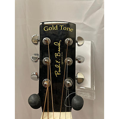 Gold Tone Paul E Beard Lap Steel