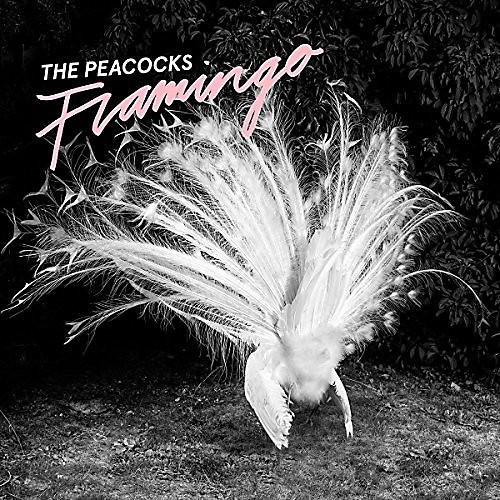 Peacocks - Flamingo