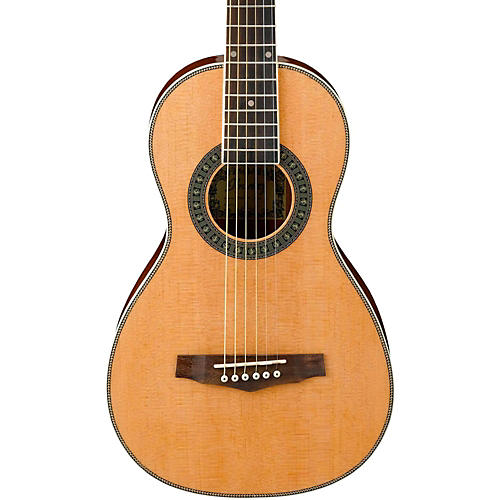 Parlor guitar on sale