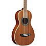 Ibanez Performance PN1MH Parlor Acoustic Guitar High Gloss Natural