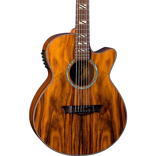 Performer Cocobolo Acoustic-Electric Guitar