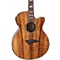 Performer Koa Acoustic-Electric Guitar with Aphex Level 2 Natural 888365485966