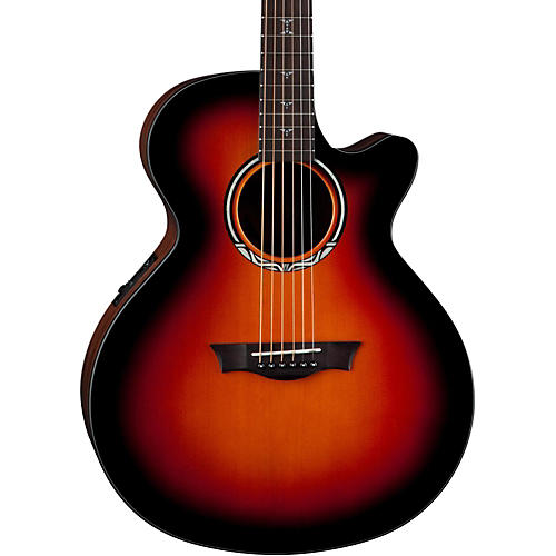 Performer Plus Acoustic-Electric Guitar