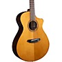 Breedlove Performer Pro Concert Acoustic-Electric Guitar Aged Toner