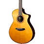 Open-Box Breedlove Performer Pro Rosewood Concert Thinline Acoustic-Electric Guitar Condition 1 - Mint Aged Toner
