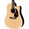 Performing Artist Series Custom DCPA4 Dreadnought Acoustic-Electric Guitar Level 1 Rosewood