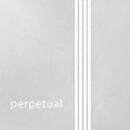 Pirastro Perpetual Series Cello C String 4/4 Size, Medium Tungsten, Ball End4/4 Size, Heavy Tungsten, Ball End