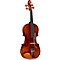 Persona Series Violin Outfit Level 2 4/4 Size 190839099785