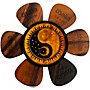 Thalia Pick Puck Pick Holder Yin Yang Night & Day Hawaiian Koa