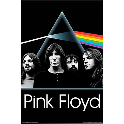 Hal Leonard Pink Floyd Dark Side of the Moon Group Wall Poster