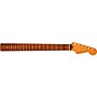Fender Player Plus Stratocaster Neck, 12