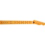 Open-Box Fender Player Plus Telecaster Neck, 12