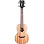 D'Angelico Premier Bayside CS Dao Concert Ukulele Natural