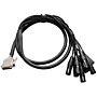 Warm Audio Premier DB25-XLRm Snake Cable - 6 ft. Black