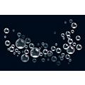 Black Label Pro Bubbly 55 gal. Professional Super Bubble Juice, Multi-color Bubbles, Low Residue Loading DockLift Gate