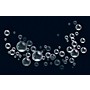 Black Label Pro Bubbly 55 gal. Professional Super Bubble Juice, Multi-color Bubbles, Low Residue Lift Gate