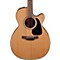 Pro Series 1 NEX Cutaway Acoustic-Electric Guitar Level 2 Natural 888365381572