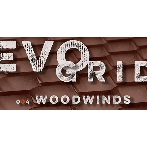 Producer Portfolio: EVO GRID 4