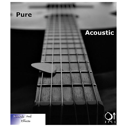 Producer Series V2 Pure Acoustic Guitars Reason DVDs