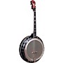 Gold Tone Professional 4-String Irish Tenor Resonator Banjo with Flange For Left Hand Players Vintage Brown