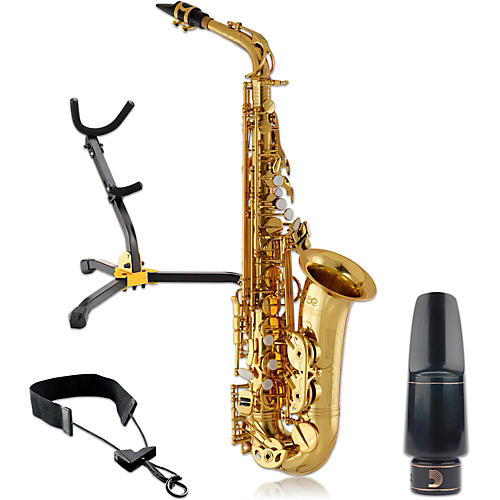 Professional Alto Saxophone Kit