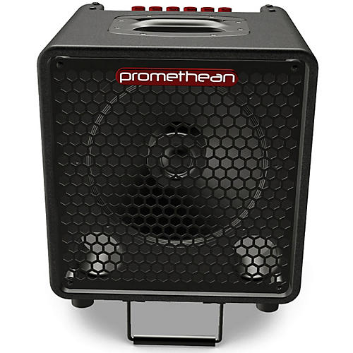 Promethean P3110 300W 1x10 Bass Combo Amp