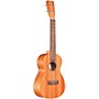 Cordoba Protege U1M Concert Ukulele Natural