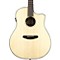 Pursuit Dreadnought Ebony Acoustic-Electric Guitar Level 2 Natural 888365906560
