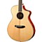 Pursuit Exotic Concert CE Sitka Spruce - Cocobolo Acoustic-Electric Guitar Level 1 Gloss Natural