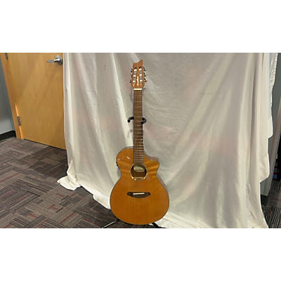 Breedlove Pursuit Nylon Classical Acoustic Electric Guitar
