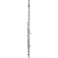 Haynes Q1 Classic Sterling Silver Flute Offset G, B-Foot, 14K Gold RiserOffset G, B-Foot, 14K Gold Riser