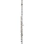 Haynes Q1 Classic Sterling Silver Flute Offset G, B-Foot, 14K Gold Riser