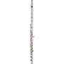 Haynes Q1 Classic Sterling Silver Flute Offset G, B-Foot
