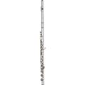 Haynes Q3 Classic Sterling Silver Flute Offset G, B-Foot, C# TrillOffset G, B-Foot, C# Trill, 14K Gold Riser