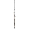 Haynes Q3 Classic Sterling Silver Flute Offset G, B-Foot, C# TrillOffset G, B-Foot, C# Trill