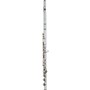 Haynes Q3 Classic Sterling Silver Flute Offset G, B-Foot
