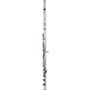 Haynes Q4 Classic Sterling Silver Flute Offset G, B-Foot, C# Trill