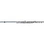 Pearl Flutes Quantz 665 Series Flutes 665RBE1RB - B Foot, Offset G with Split E